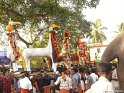 mangad-pooram-2012 (18)